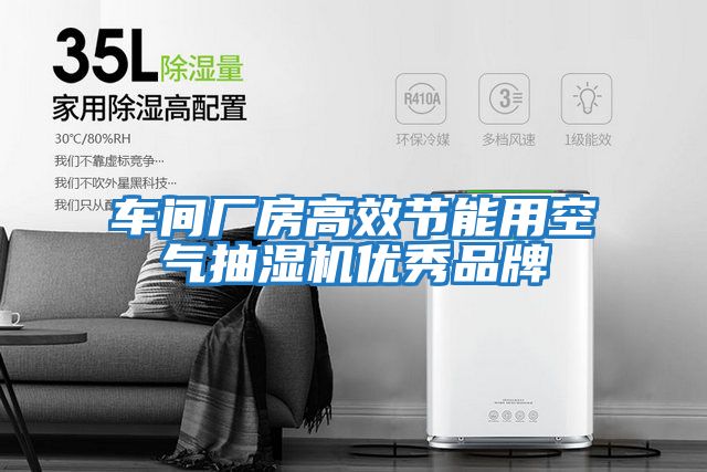 车间厂房高效节能用空气抽湿机优秀品牌