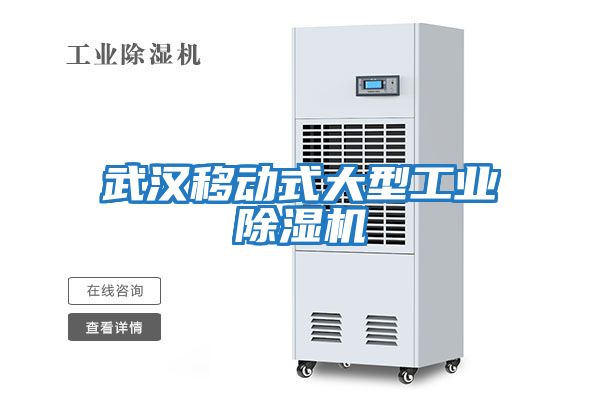 武汉移动式大型工业除湿机