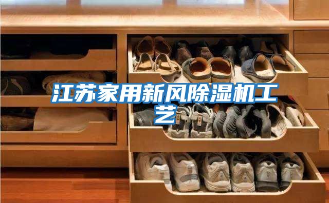 江苏家用新风除湿机工艺