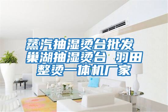 蒸汽抽湿烫台批发 巢湖抽湿烫台 羽田整烫一体机厂家