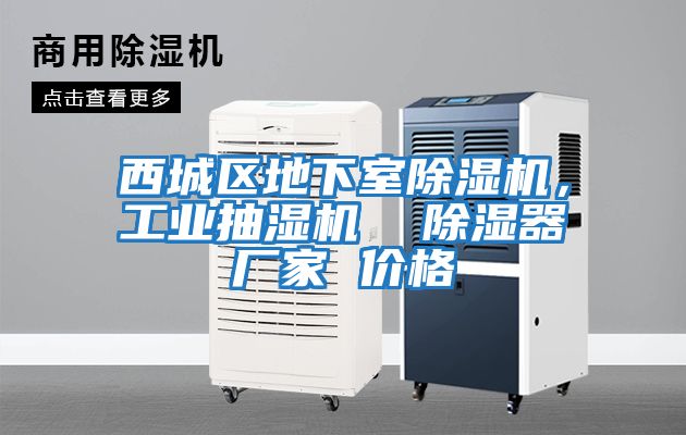 西城区地下室除湿机，工业抽湿机  除湿器厂家 价格