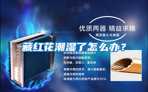 藏红花潮湿了怎么办？