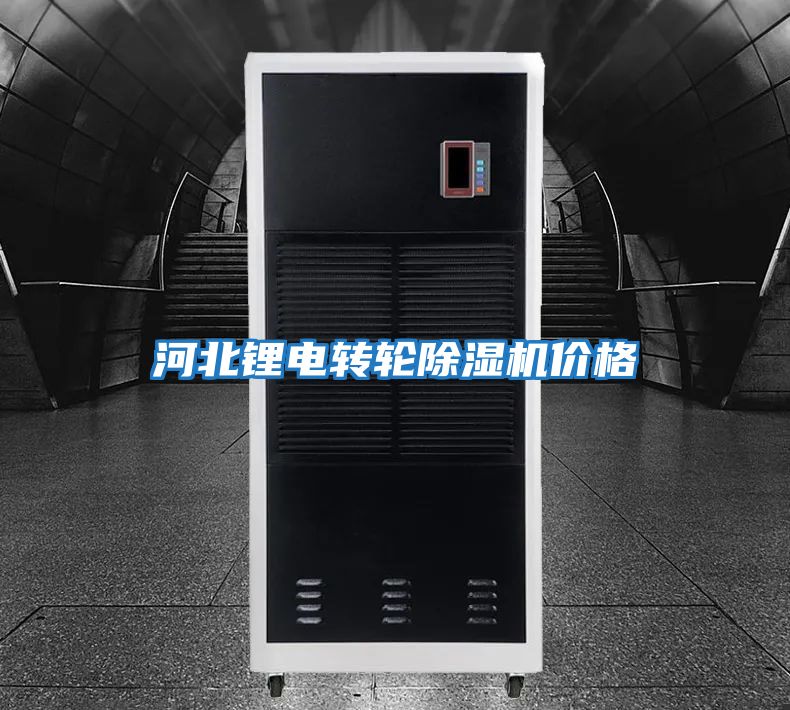 河北锂电转轮除湿机价格