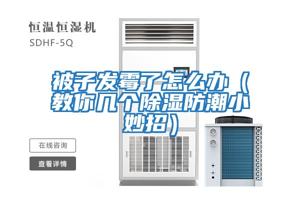 被子发霉了怎么办（教你几个除湿防潮小妙招）