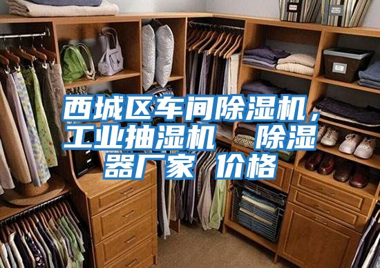 西城区车间除湿机，工业抽湿机  除湿器厂家 价格
