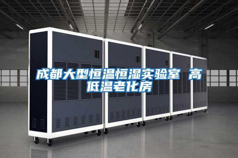 成都大型恒温恒湿实验室 高低温老化房