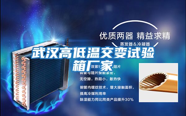 武汉高低温交变试验箱厂家