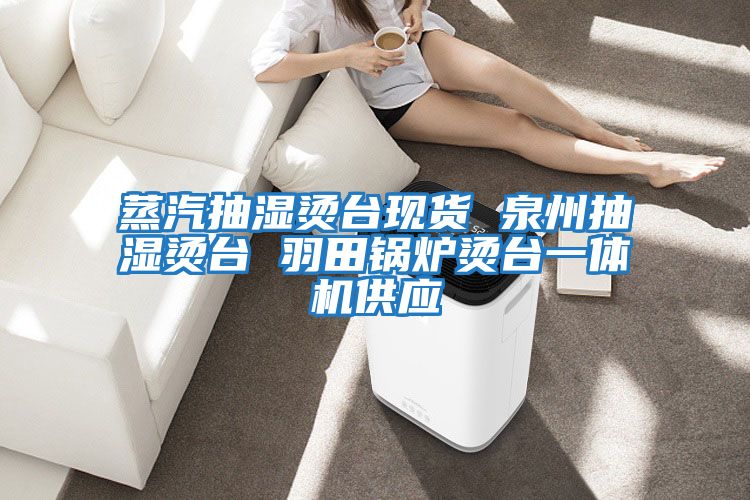 蒸汽抽湿烫台现货 泉州抽湿烫台 羽田锅炉烫台一体机供应