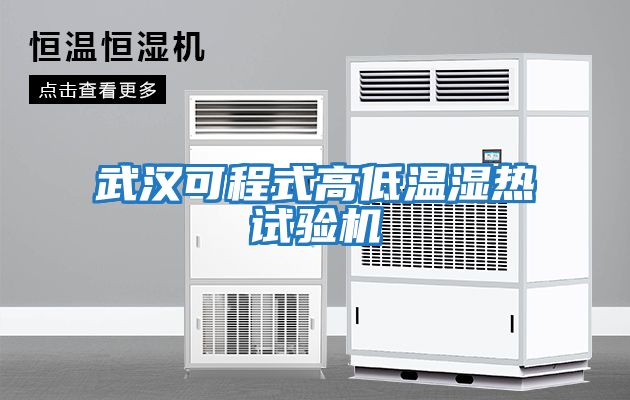 武汉可程式高低温湿热试验机