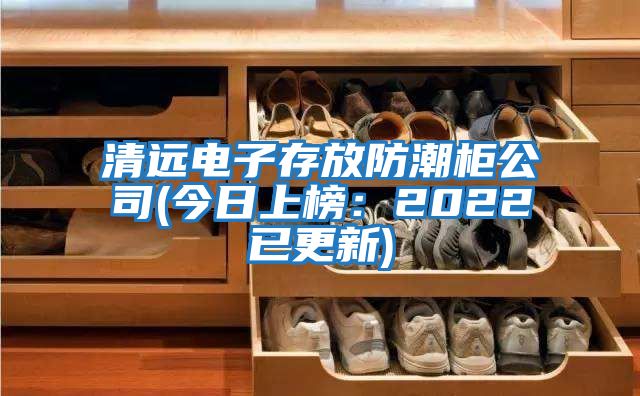 清远电子存放防潮柜公司(今日上榜：2022已更新)