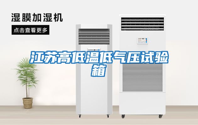 江苏高低温低气压试验箱