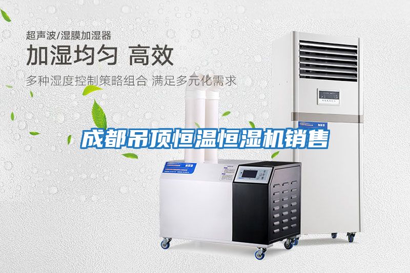 成都吊顶恒温恒湿机销售