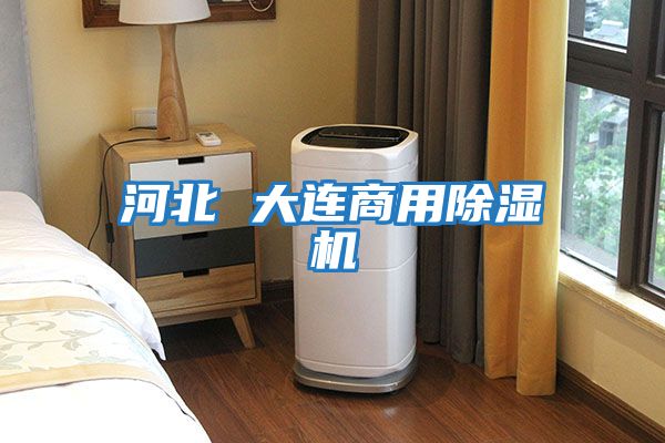 河北 大连商用除湿机