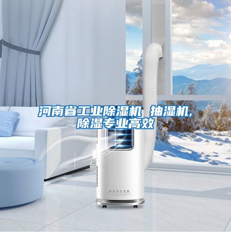 河南省工业除湿机 抽湿机,除湿专业高效