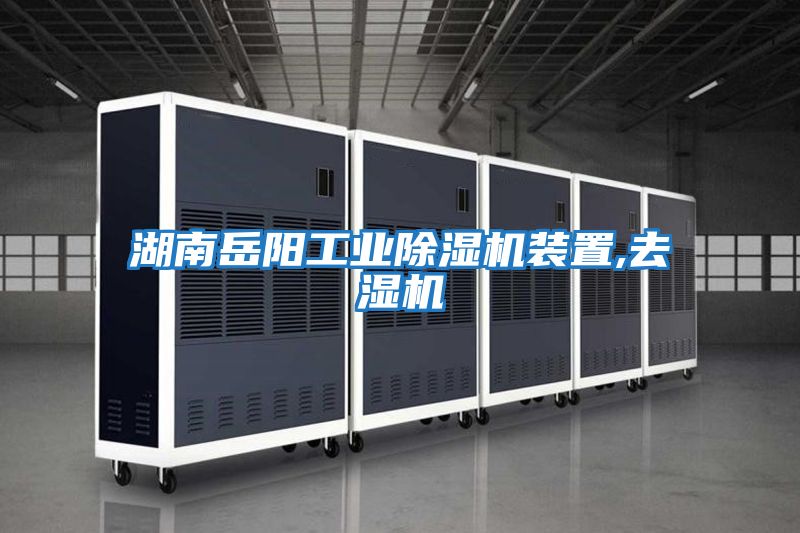 湖南岳阳工业除湿机装置,去湿机