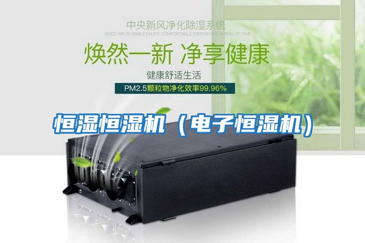 恒湿恒湿机（电子恒湿机）