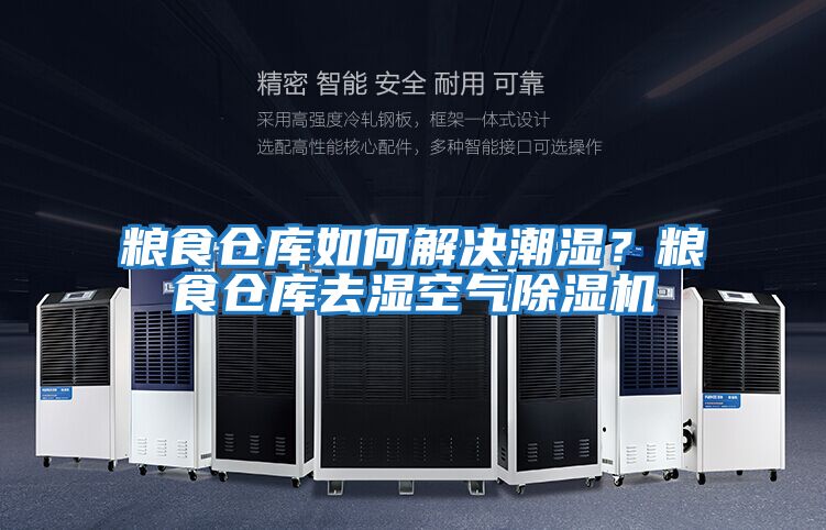 粮食仓库如何解决潮湿？粮食仓库去湿空气除湿机