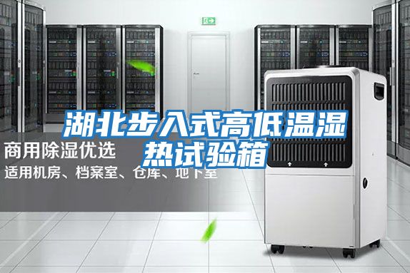湖北步入式高低温湿热试验箱