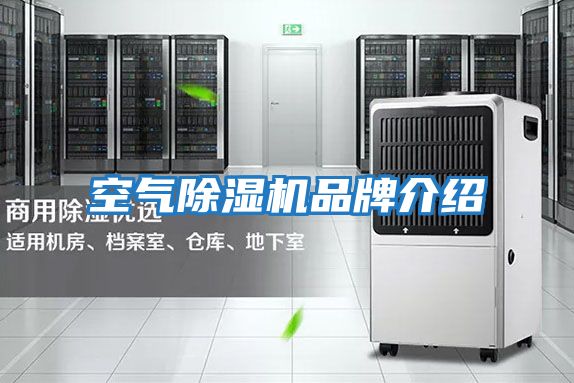 空气除湿机品牌介绍