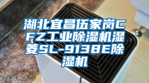 湖北宜昌伍家岗CFZ工业除湿机湿菱SL-9138E除湿机