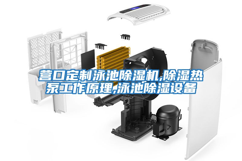 营口定制泳池除湿机,除湿热泵工作原理,泳池除湿设备