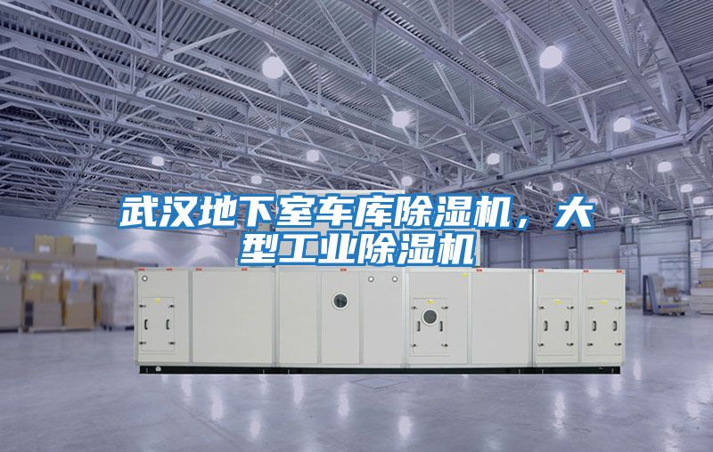 武汉地下室车库除湿机，大型工业除湿机
