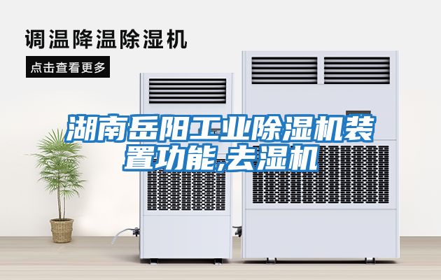 湖南岳阳工业除湿机装置功能,去湿机