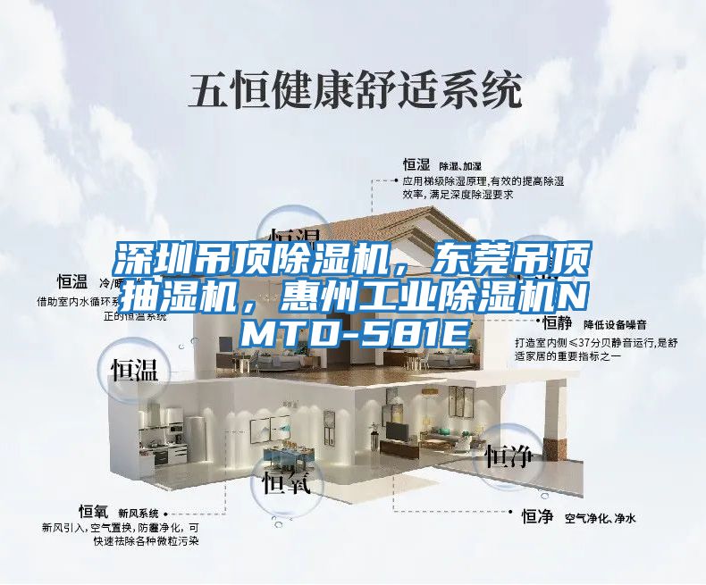 深圳吊顶除湿机，东莞吊顶抽湿机，惠州工业除湿机NMTD-581E