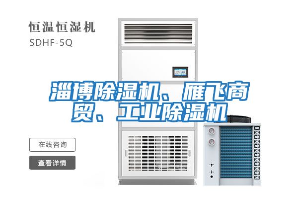 淄博除湿机、雁飞商贸、工业除湿机