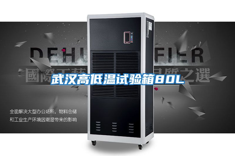 武汉高低温试验箱80L