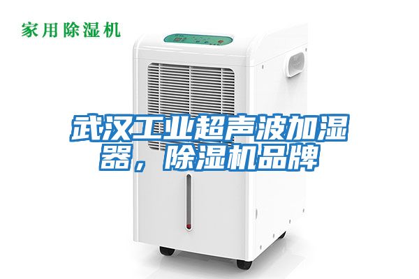 武汉工业超声波加湿器，除湿机品牌