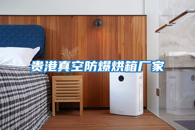 贵港真空防爆烘箱厂家