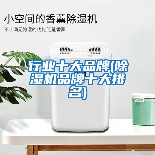 行业十大品牌(除湿机品牌十大排名)