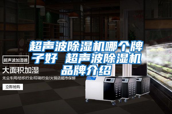 超声波除湿机哪个牌子好 超声波除湿机品牌介绍