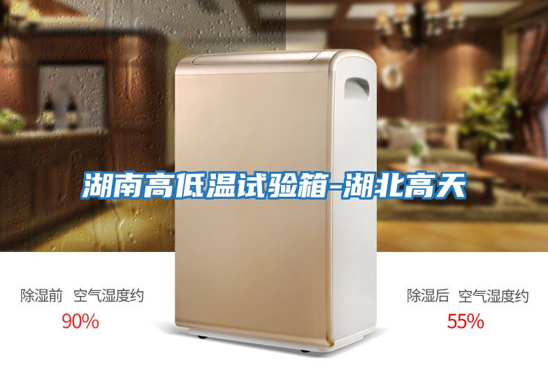 湖南高低温试验箱-湖北高天