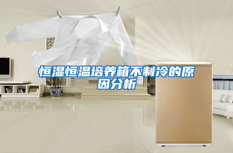 恒湿恒温培养箱不制冷的原因分析