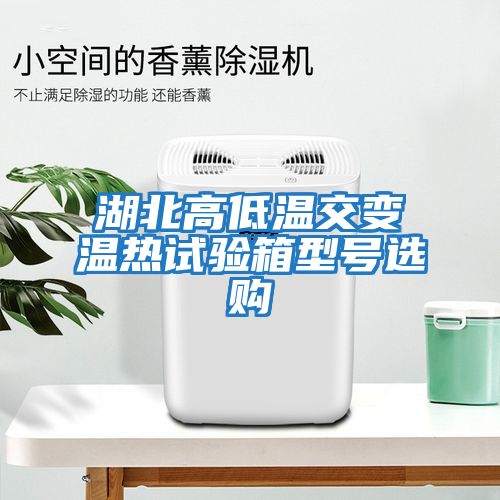 湖北高低温交变温热试验箱型号选购