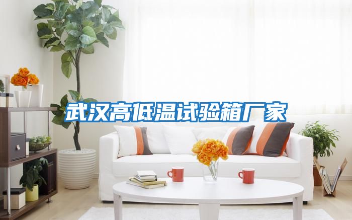 武汉高低温试验箱厂家