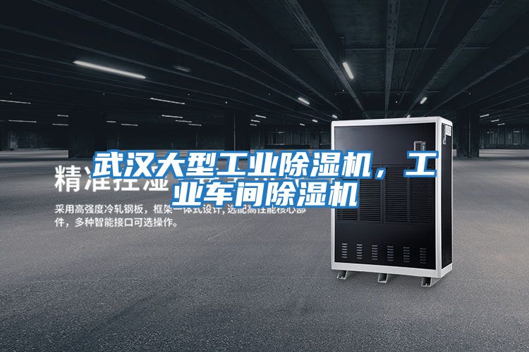 武汉大型工业除湿机，工业车间除湿机