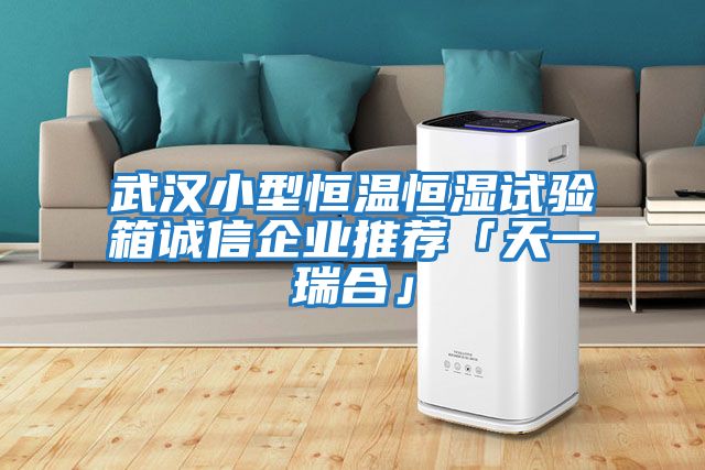 武汉小型恒温恒湿试验箱诚信企业推荐「天一瑞合」