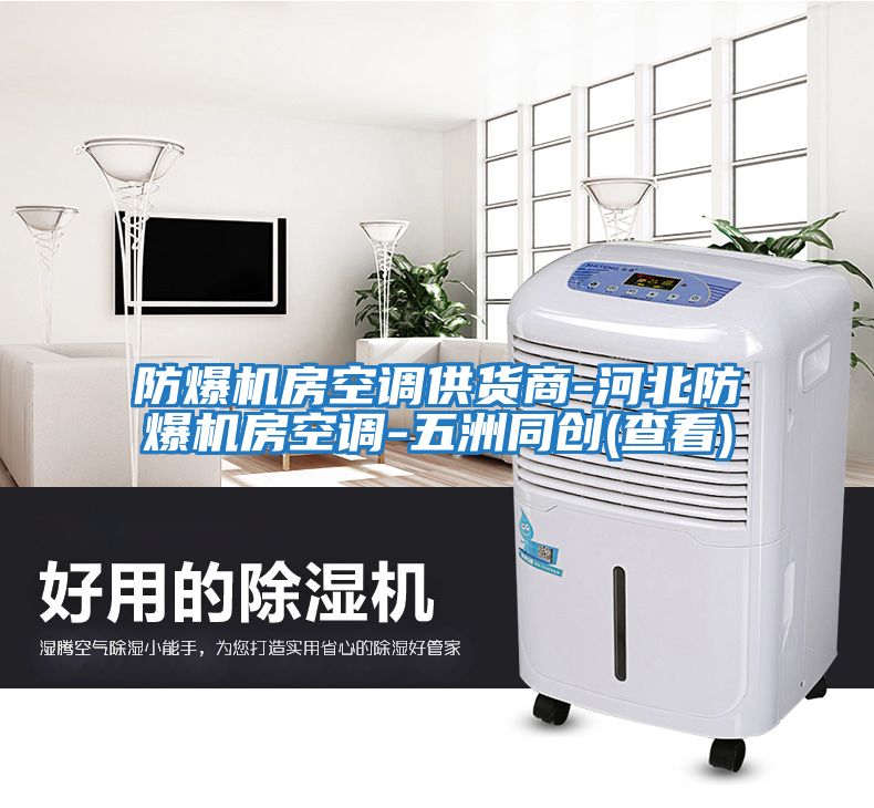 防爆机房空调供货商-河北防爆机房空调-五洲同创(查看)