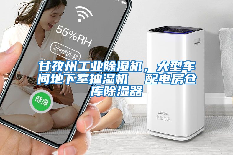 甘孜州工业除湿机，大型车间地下室抽湿机  配电房仓库除湿器