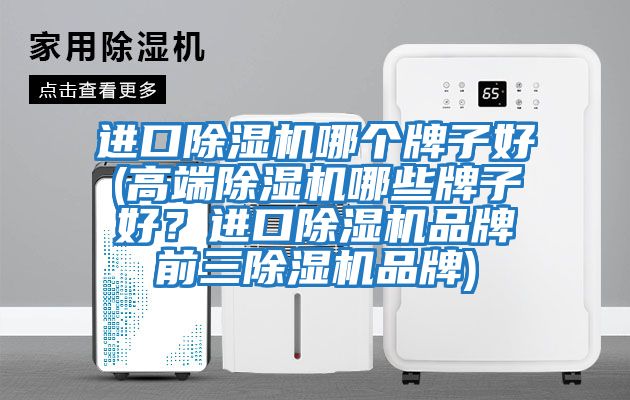 进口除湿机哪个牌子好(高端除湿机哪些牌子好？进口除湿机品牌前三除湿机品牌)