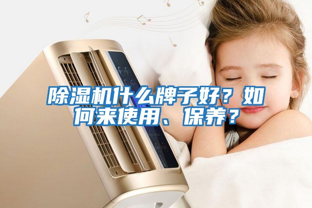 除湿机什么牌子好？如何来使用、保养？