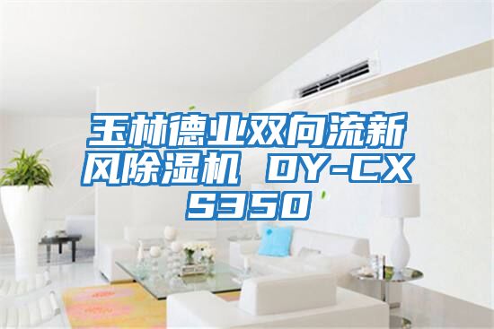 玉林德业双向流新风除湿机 DY-CXS350