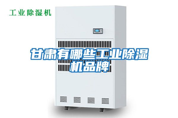 甘肃有哪些工业除湿机品牌