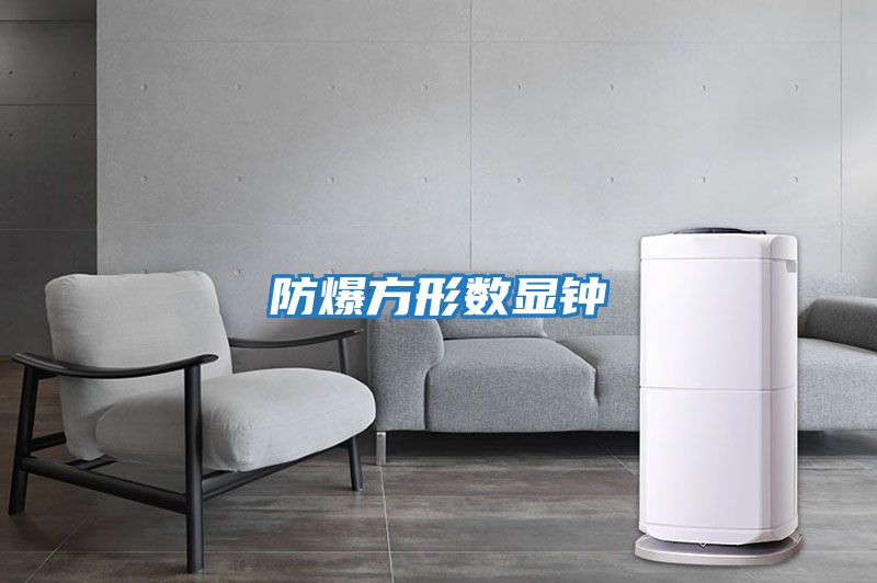 防爆方形数显钟