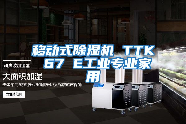 移动式除湿机 TTK 67 E工业专业家用