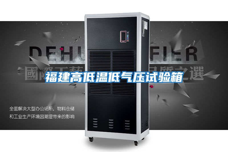 福建高低温低气压试验箱