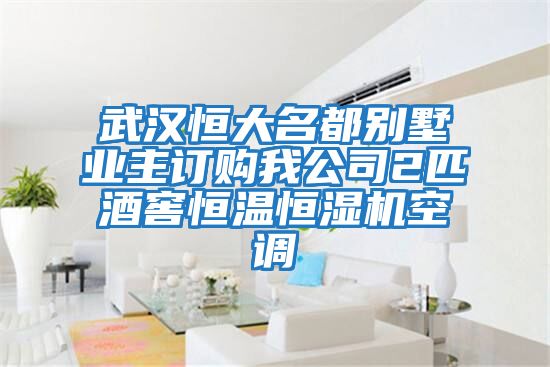 武汉恒大名都别墅业主订购我公司2匹酒窖恒温恒湿机空调